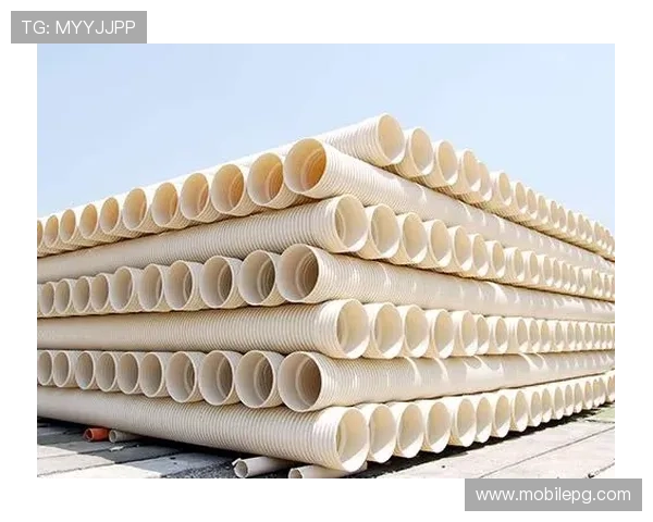 探索ag手机亚游官网的全面功能与优势解析