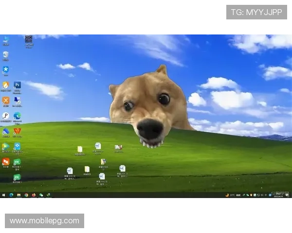 电子真人下载注册后如何进行个性化设置提升互动乐趣